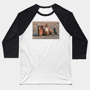 Pals. Baseball T-Shirt